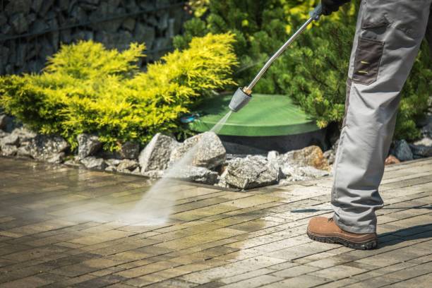 Best Animal Enclosure Cleaning  in Gibson City, IL