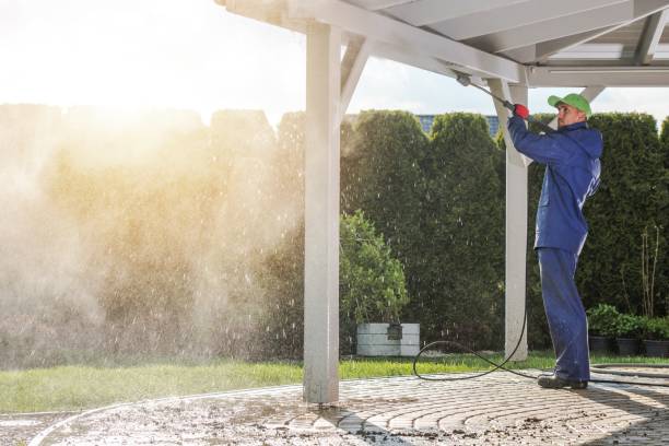 Best Fence Cleaning  in Gibson City, IL