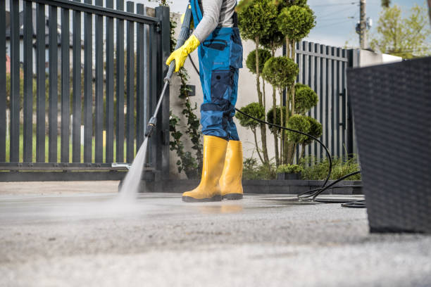 Best Fleet Vehicle Washing  in Gibson City, IL