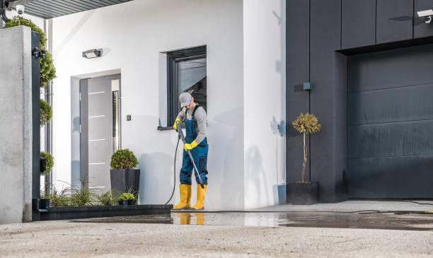Best Roof Washing  in Gibson City, IL